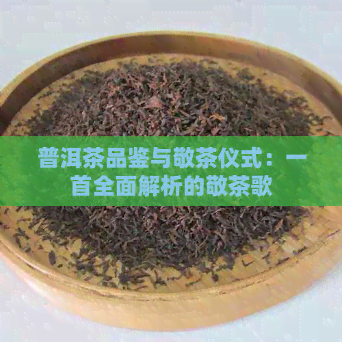 普洱茶品鉴与敬茶仪式：一首全面解析的敬茶歌