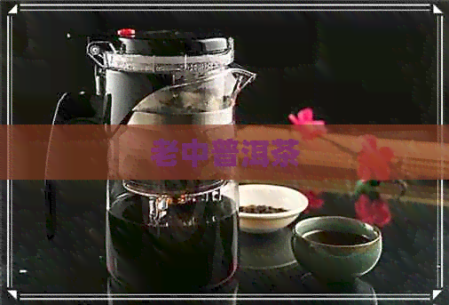 老中普洱茶