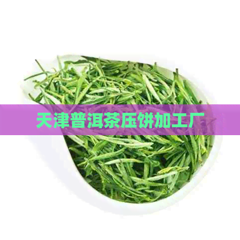 天津普洱茶压饼加工厂