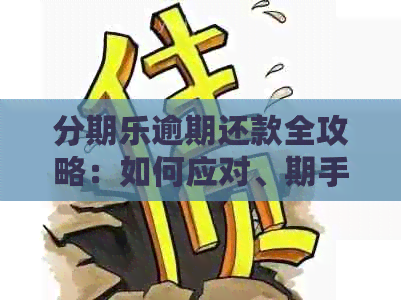 逾期还款全攻略：如何应对、期手续与后果详解