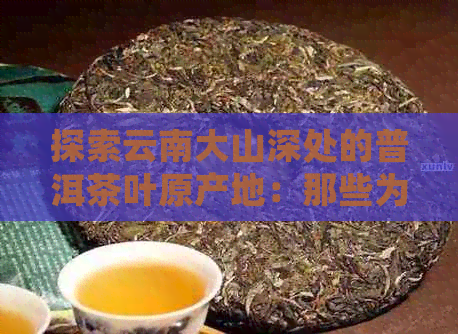 探索云南大山深处的普洱茶叶原产地：那些为人知的小产区