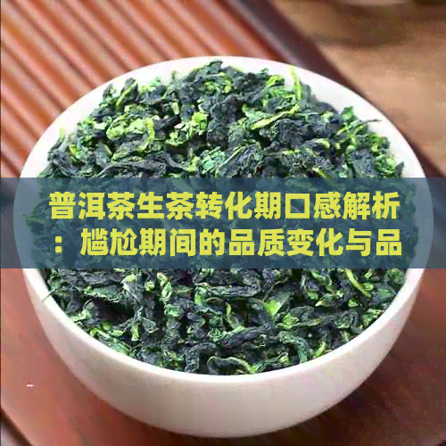 普洱茶生茶转化期口感解析：尴尬期间的品质变化与品鉴技巧