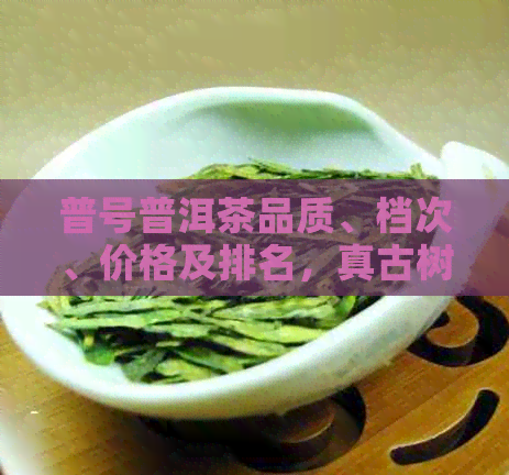 普号普洱茶品质、档次、价格及排名，真古树茶揭秘