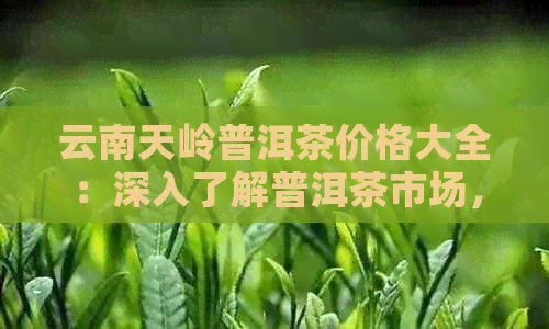 云南天岭普洱茶价格大全：深入了解普洱茶市场，找到最适合您的价位与品质