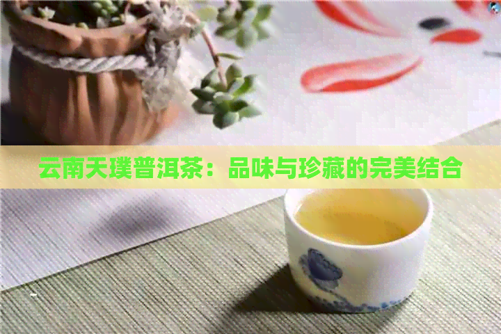 云南天璞普洱茶：品味与珍藏的完美结合