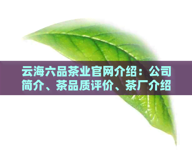 云海六品茶业官网介绍：公司简介、茶品质评价、茶厂介绍。