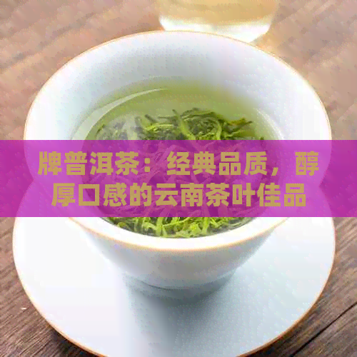 牌普洱茶：经典品质，醇厚口感的云南茶叶佳品