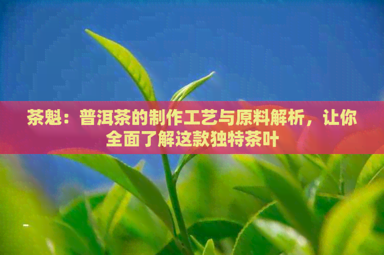 茶魁：普洱茶的制作工艺与原料解析，让你全面了解这款独特茶叶