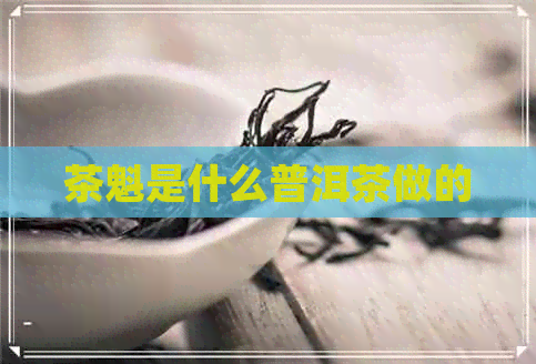 茶魁是什么普洱茶做的