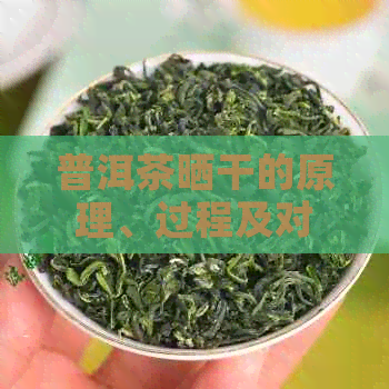 普洱茶晒干的原理、过程及对茶叶品质的影响：了解普洱茶制作的关键步骤