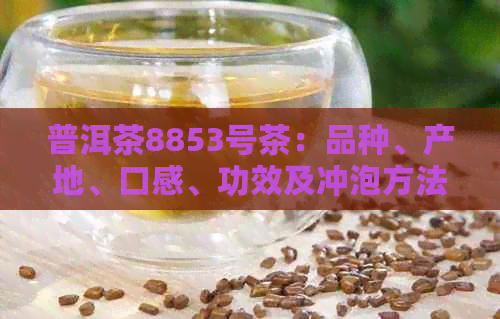 普洱茶8853号茶：品种、产地、口感、功效及冲泡方法的全面解析