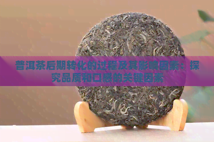 普洱茶后期转化的过程及其影响因素：探究品质和口感的关键因素