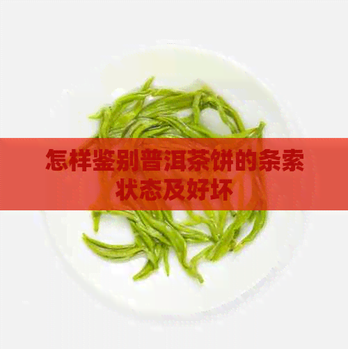 怎样鉴别普洱茶饼的条索状态及好坏