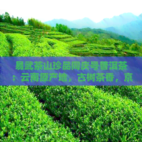 易武茶山珍品同庆号普洱茶：云南原产地，古树茶香，京东阿里双平台热销