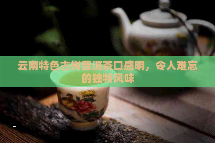 云南特色古树普洱茶口感明，令人难忘的独特风味