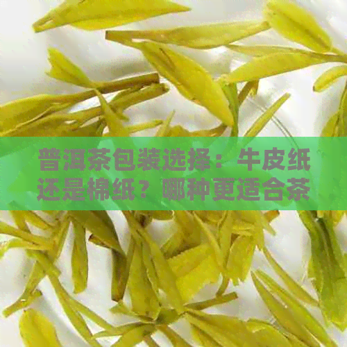 普洱茶包装选择：牛皮纸还是棉纸？哪种更适合茶包？