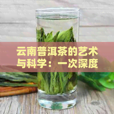 云南普洱茶的艺术与科学：一次深度品鉴之旅