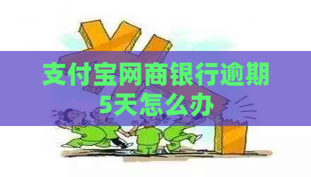 支付宝网商银行逾期5天怎么办