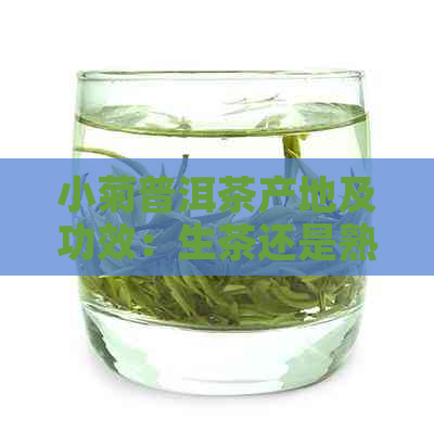 小菊普洱茶产地及功效：生茶还是熟茶？