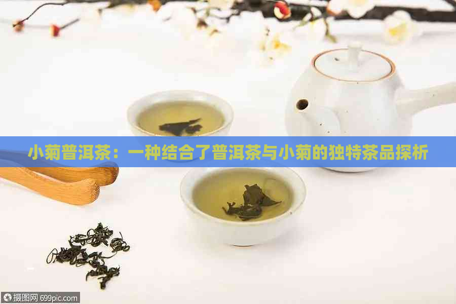 小菊普洱茶：一种结合了普洱茶与小菊的独特茶品探析