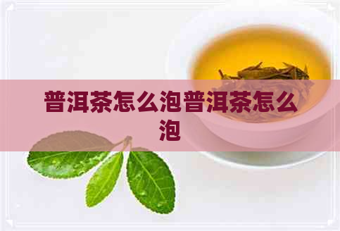 普洱茶怎么泡普洱茶怎么泡