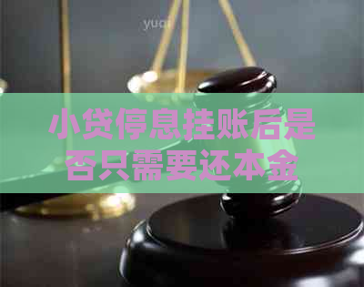 小贷停息挂账后是否只需要还本金