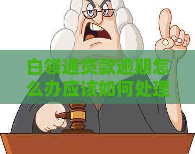 白领通贷款逾期怎么办应该如何处理