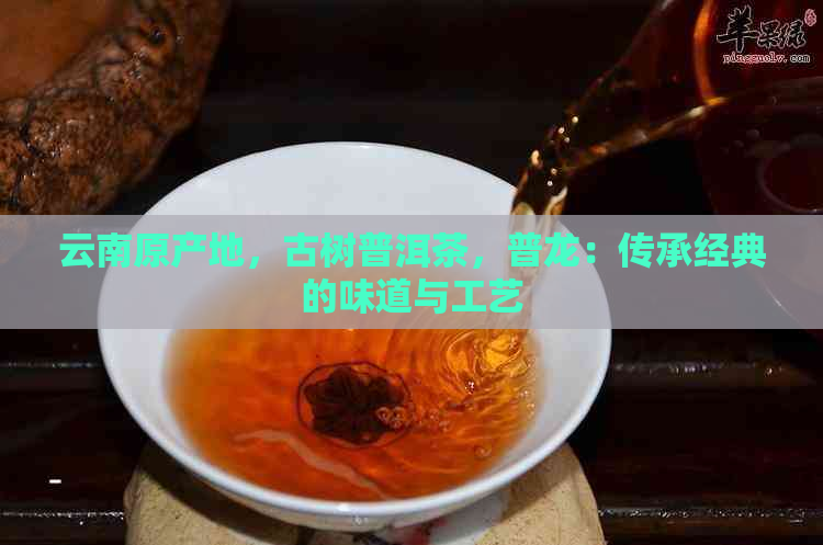 云南原产地，古树普洱茶，普龙：传承经典的味道与工艺