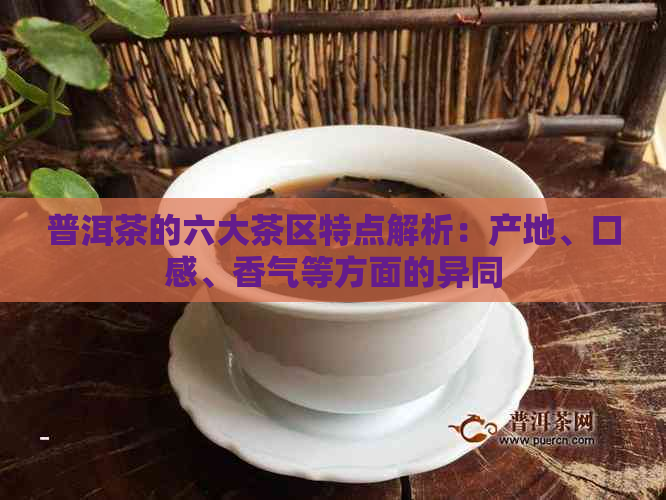 普洱茶的六大茶区特点解析：产地、口感、香气等方面的异同