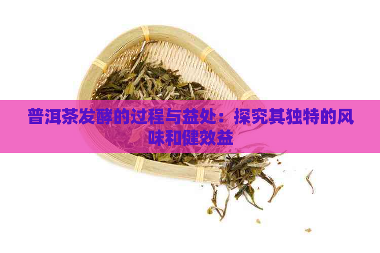 普洱茶发酵的过程与益处：探究其独特的风味和健效益