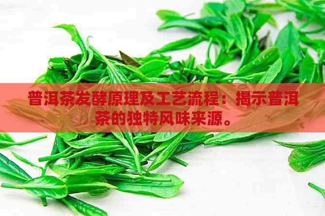 普洱茶发酵原理及工艺流程：揭示普洱茶的独特风味来源。