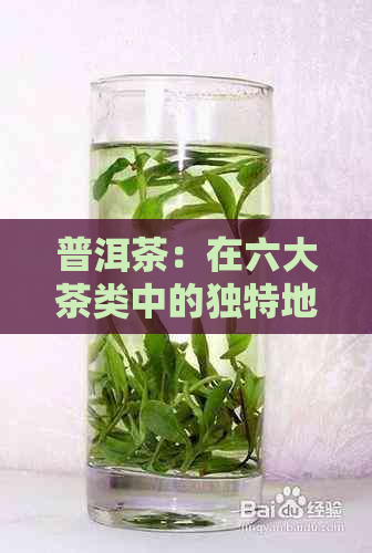 普洱茶：在六大茶类中的独特地位和分类解析