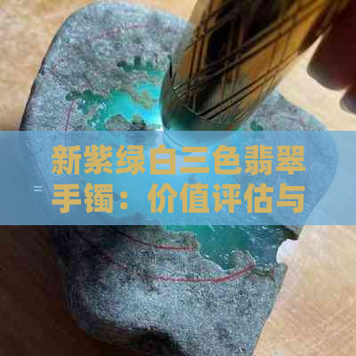 新紫绿白三色翡翠手镯：价值评估与市场趋势探讨