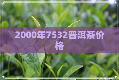 2000年7532普洱茶价格