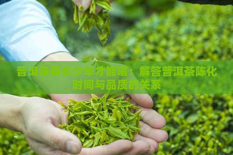 普洱茶要多少年才能喝：解答普洱茶陈化时间与品质的关系