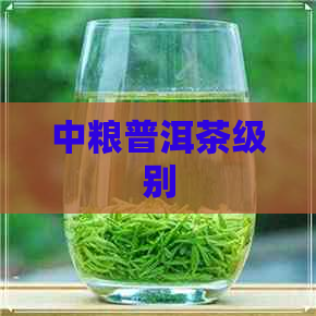 中粮普洱茶级别