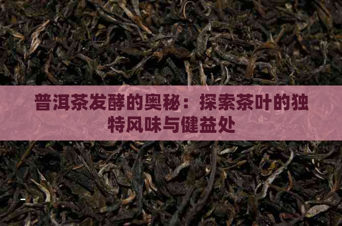 普洱茶发酵的奥秘：探索茶叶的独特风味与健益处