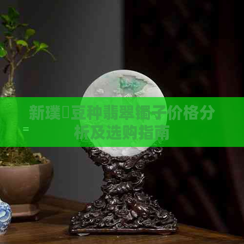 新璞嗙豆种翡翠镯子价格分析及选购指南