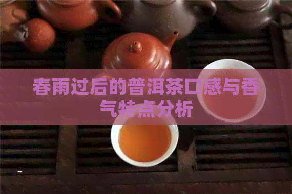 春雨过后的普洱茶口感与香气特点分析