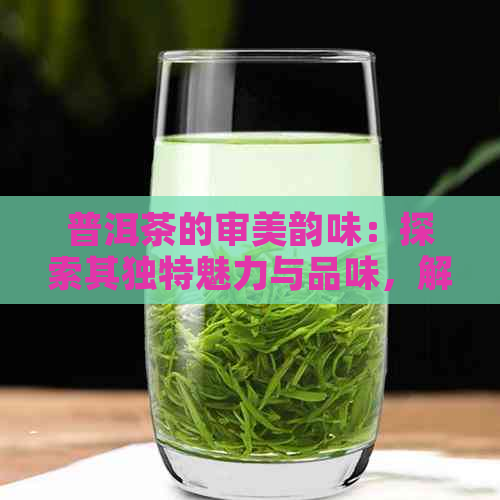 普洱茶的审美韵味：探索其独特魅力与品味，解析其文化内涵与品鉴方法