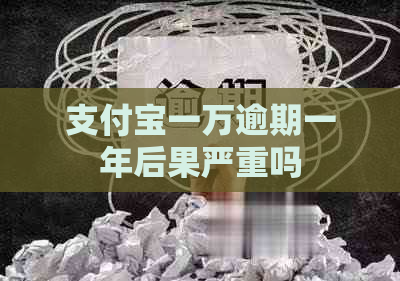 支付宝一万逾期一年后果严重吗