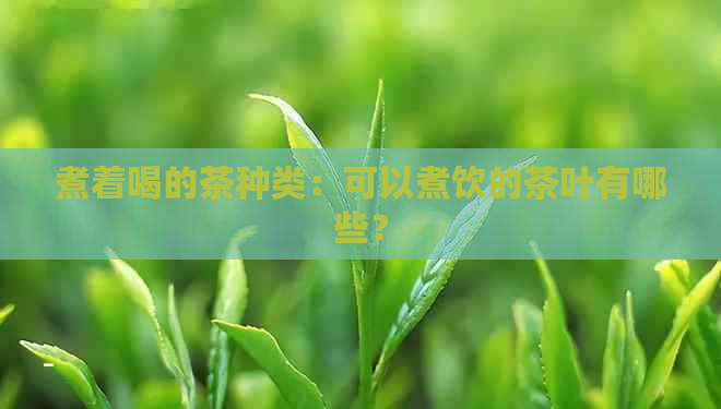 煮着喝的茶种类：可以煮饮的茶叶有哪些？