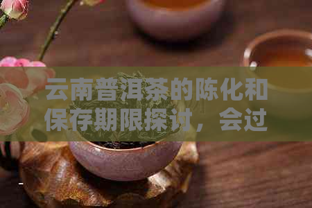 云南普洱茶的陈化和保存期限探讨，会过期吗？