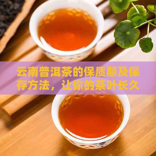 云南普洱茶的保质期及保存方法，让你的茶叶长久保持美味与新