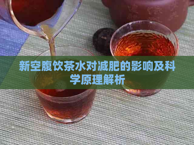 新空腹饮茶水对减肥的影响及科学原理解析