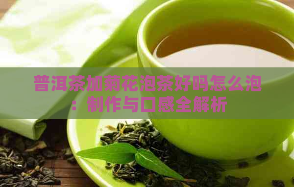 普洱茶加菊花泡茶好吗怎么泡：制作与口感全解析