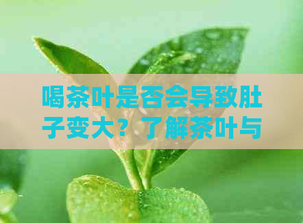 喝茶叶是否会导致肚子变大？了解茶叶与腹部肥胖的关联及正确饮用方法