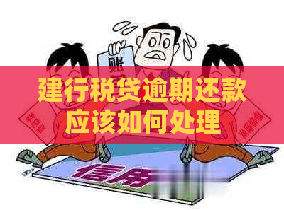 建行税贷逾期还款应该如何处理