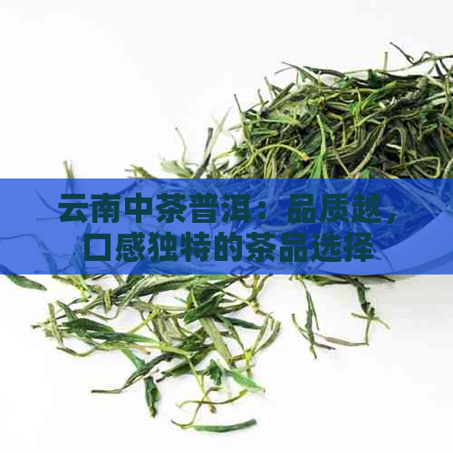 云南中茶普洱：品质越，口感独特的茶品选择