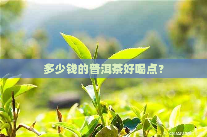 多少钱的普洱茶好喝点？